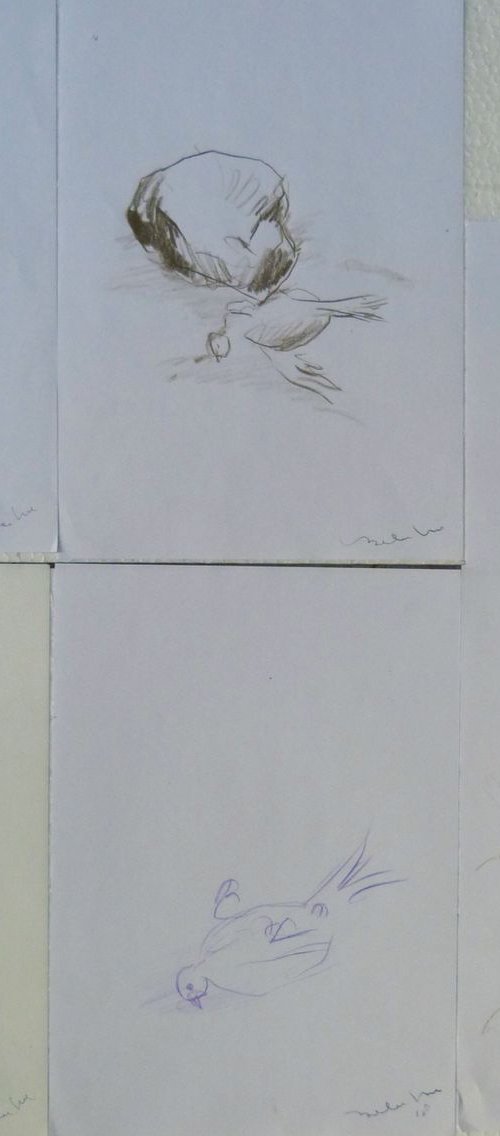 Six sketches - Birds by Frederic Belaubre