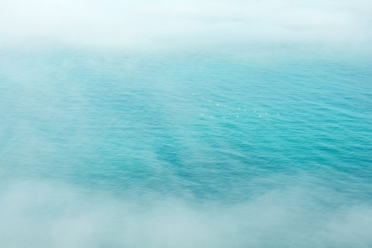 Surrealistic Landscape Photograph By Journey Gong, 24 X 16", Evanescent, Original Artwork