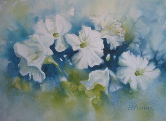 Blue spring