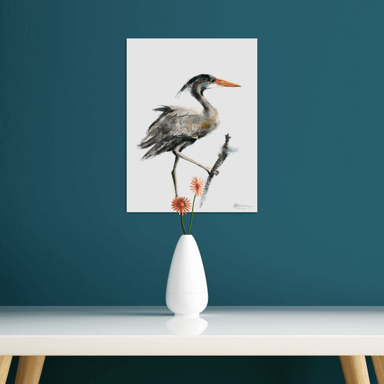 Grey Heron