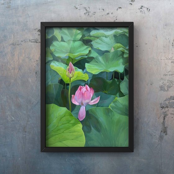 Lotuses. Pond. Time of youth.