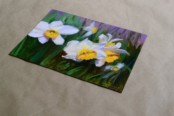 Daffodils