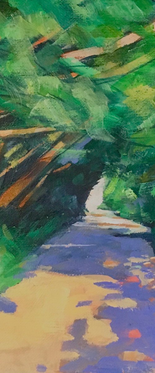 Pathway in Pembrokeshire by Stuart Roper