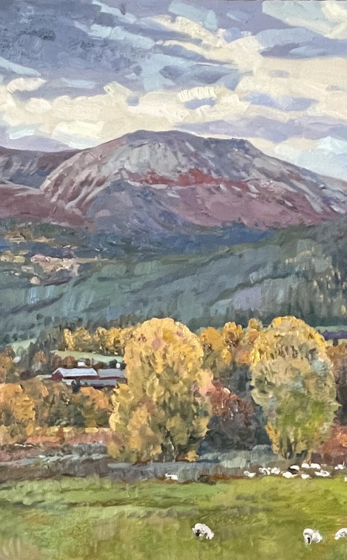 Autumn Trøndelag by Nadezda Stupina