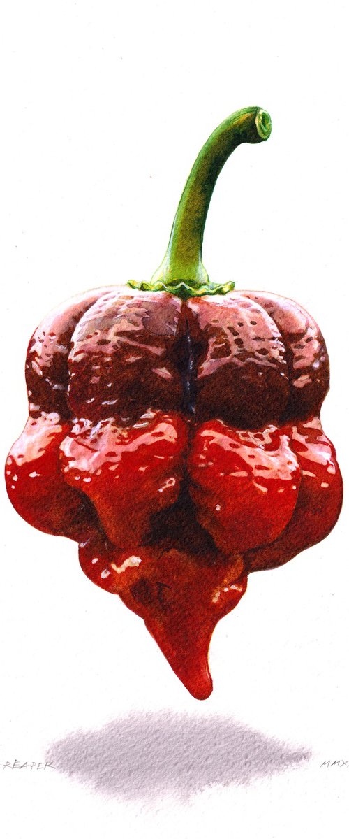 Carolina Reaper by REME Jr.