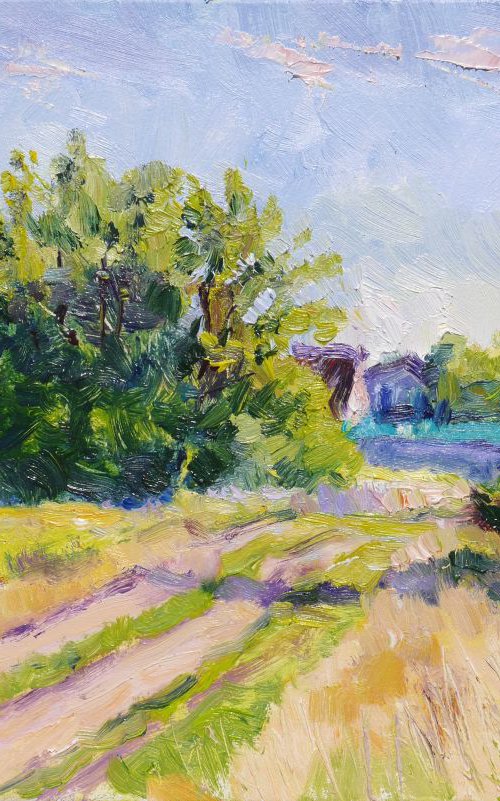 Plein air 21-06-2017 (summer, countryside) by Dima Braga