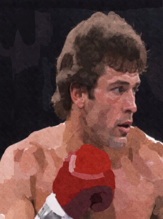 THE BOXER 2