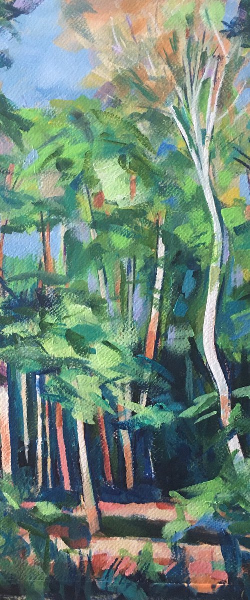 Spring clearing by Stuart Roper