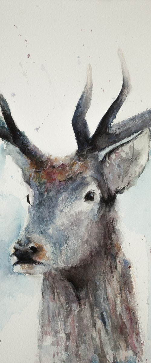Winter Stag by Tomasz Mikutel
