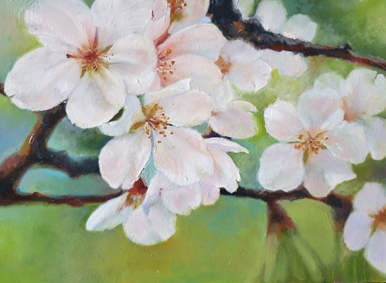 "Apple blossom." apple tree flower spring  liGHt original painting PALETTE KNIFE  GIFT (2020)