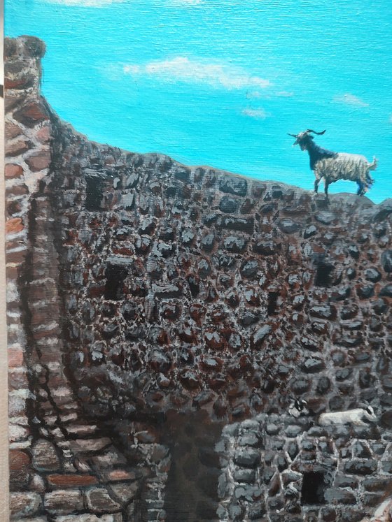 Untamed (the bigger picture)