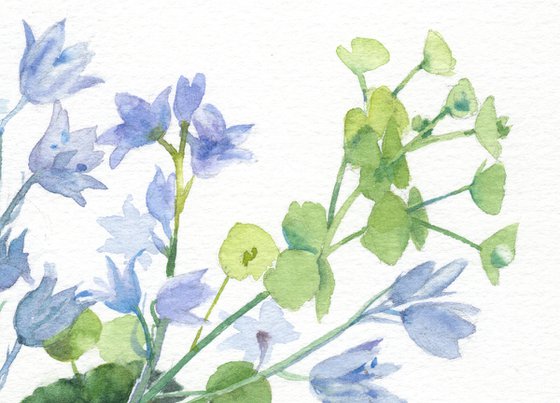Kingcups and Bluebells