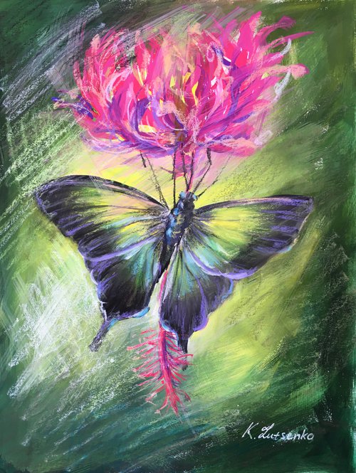 Rainforest butterfly by Ksenia Lutsenko