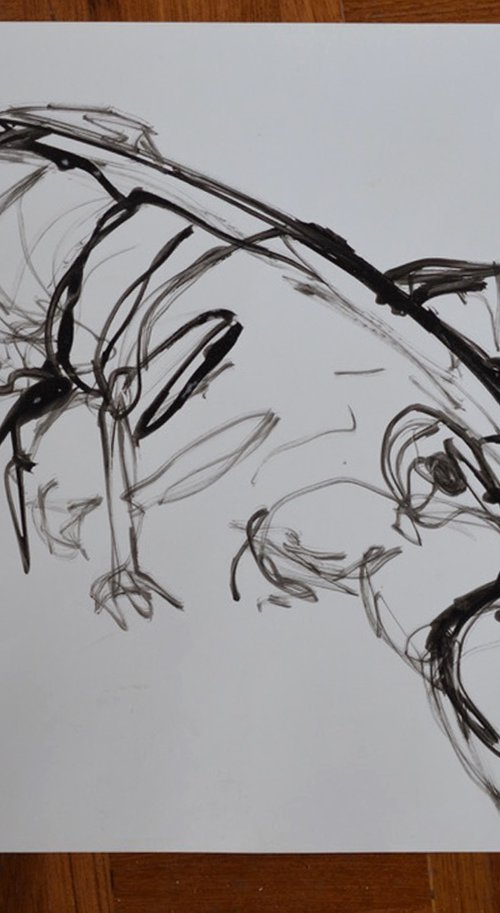 Lobster Gesture Drawing by Michelle Parsons