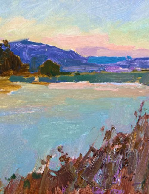 Evening on the bank. Tisza river by Aleksandr  Kryushyn