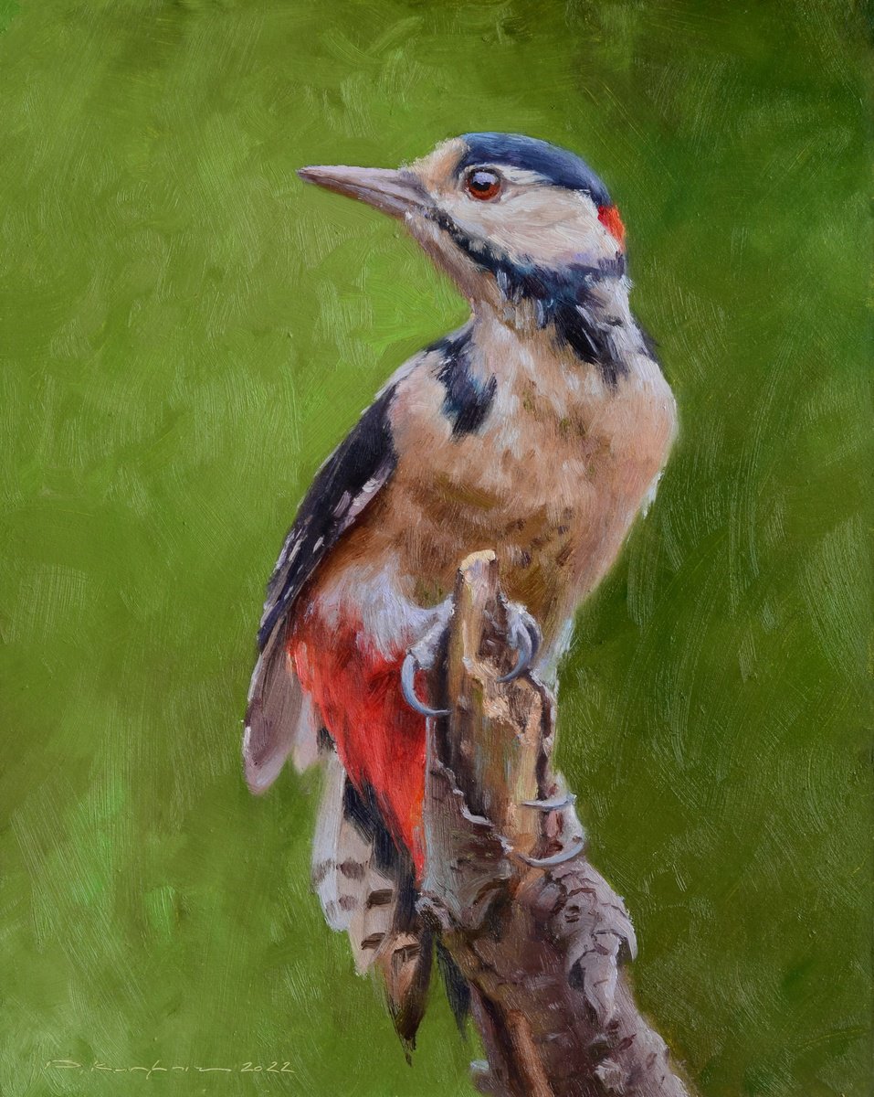 Woodpecker by Ruslan Kiprych