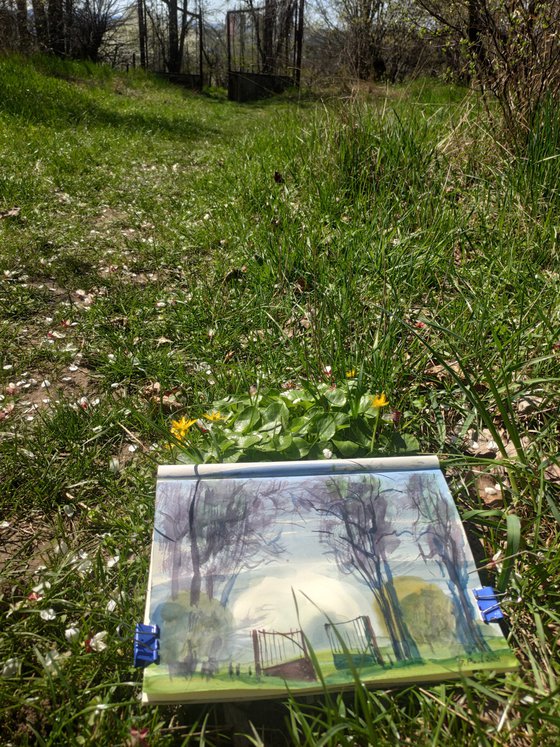 The gate to the blooming garden