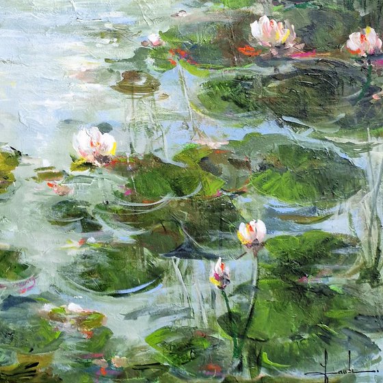 Water Lilies On The Shore