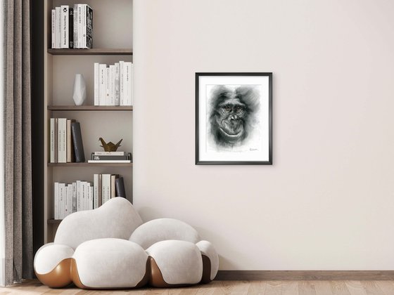 Monkey