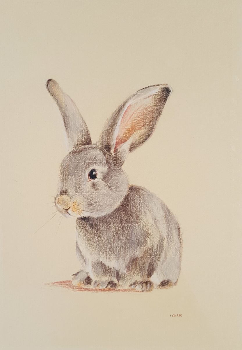 Baby Grey Rabbit by Wendy Booth