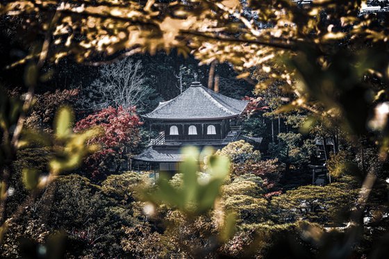 GLIMPSE OF GINGAKU-JI