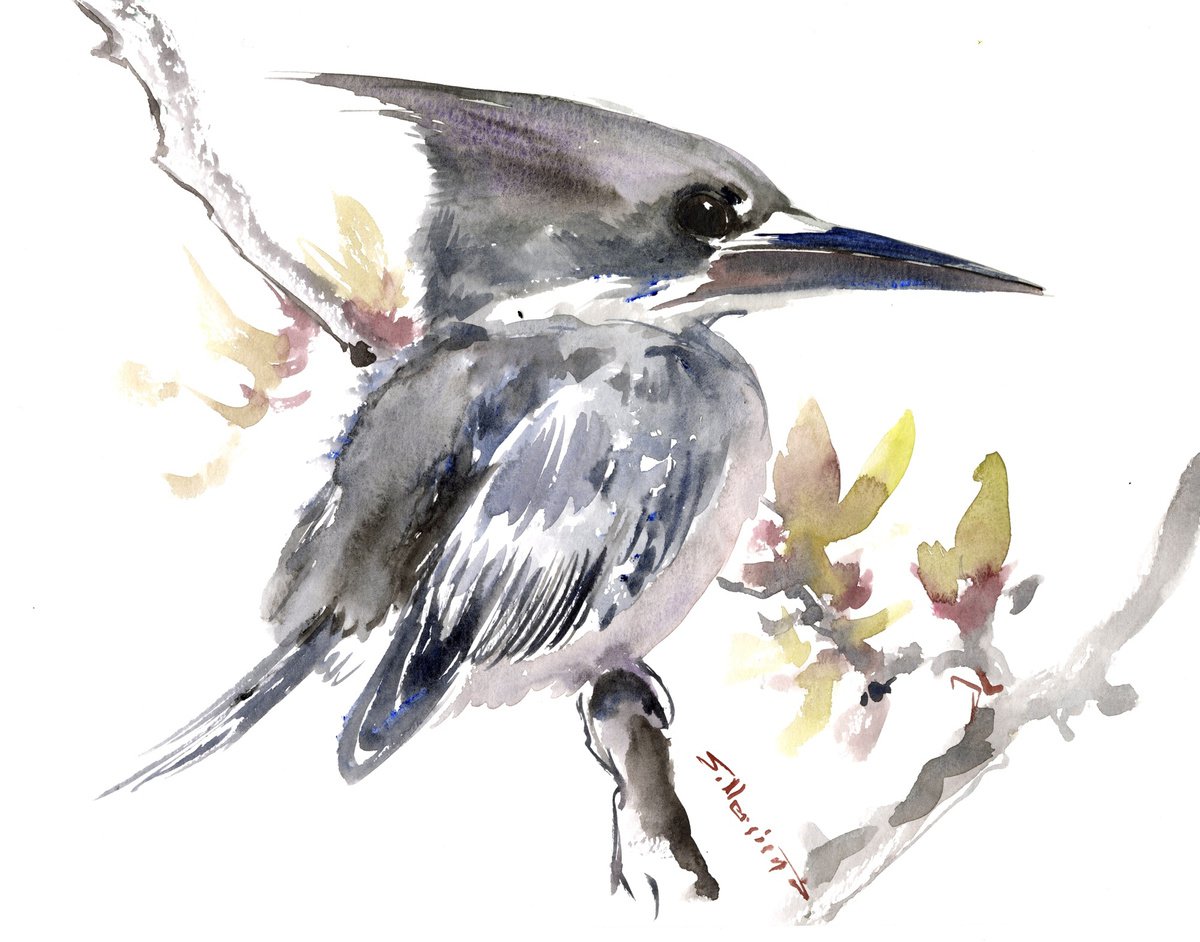 Belted Kingfisher artwork by Suren Nersisyan