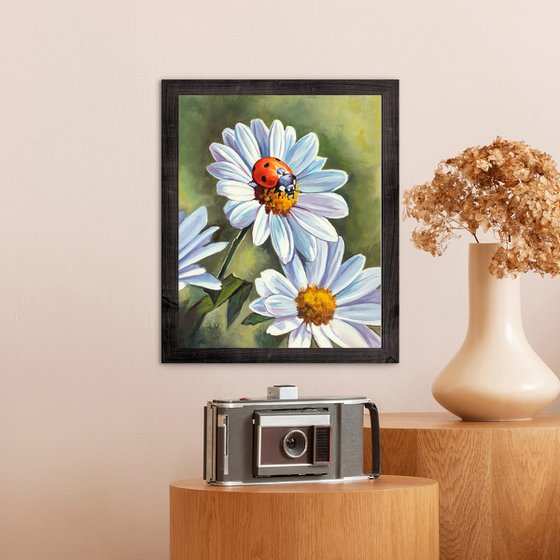 Ladybug on white daisy flowers