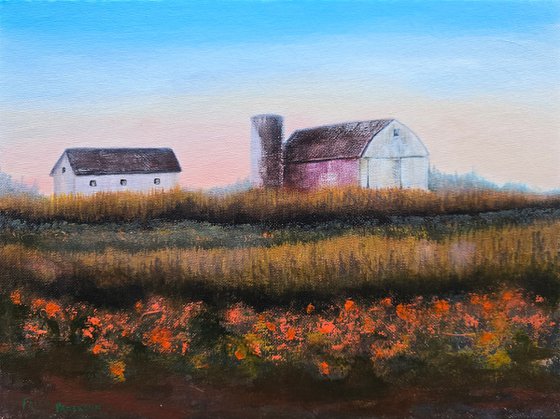 Early Morning Barn