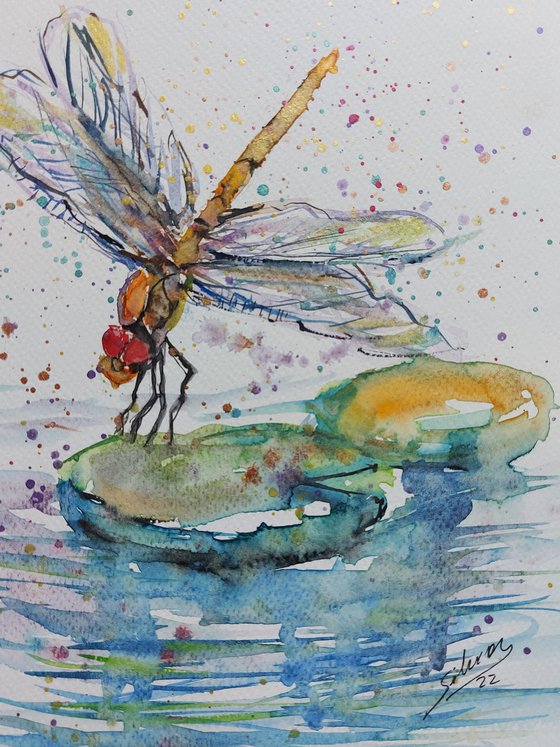 Dragonfly in the pond