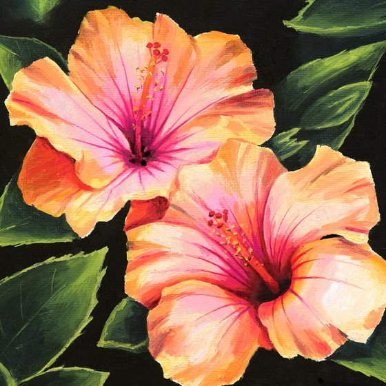 ‘Tropical fragance‘