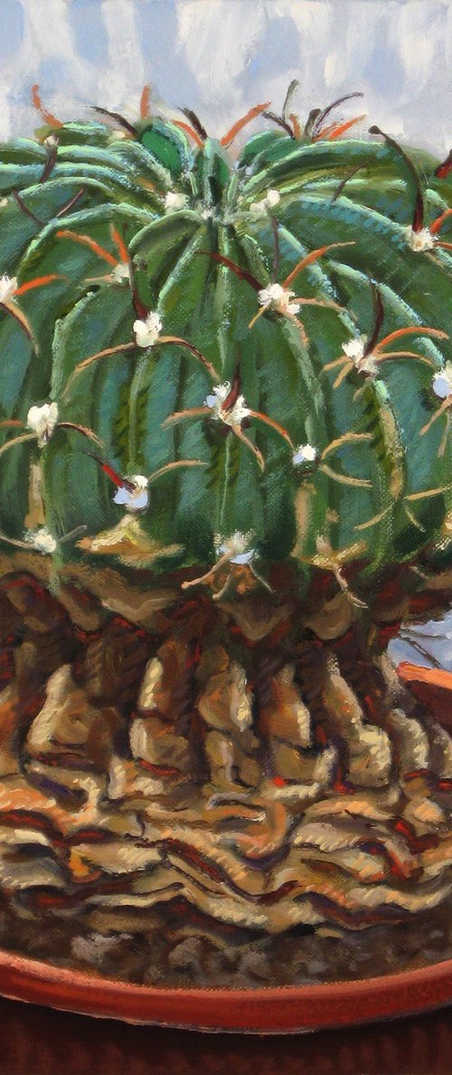 Cactus with Flower Bud by Richard Gibson