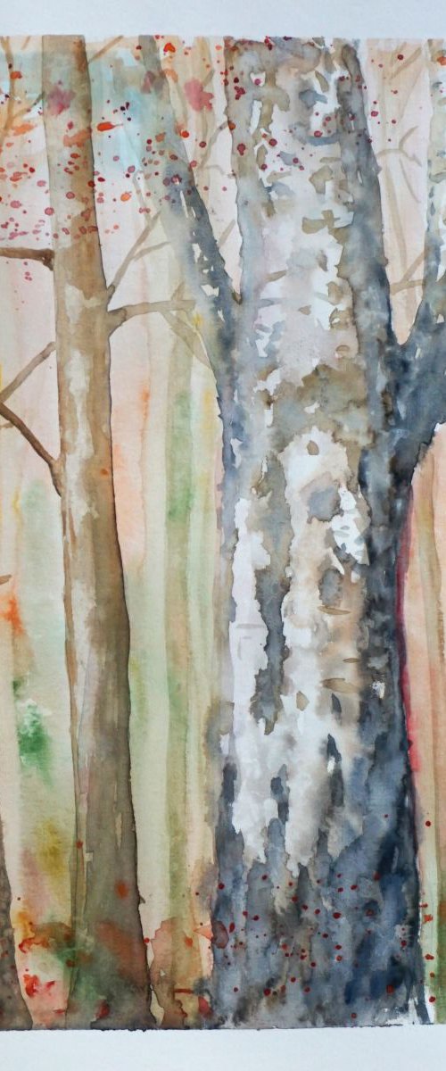 Birch tree by Yulia Schuster