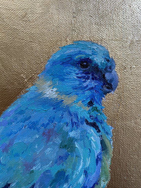 A blue parrot