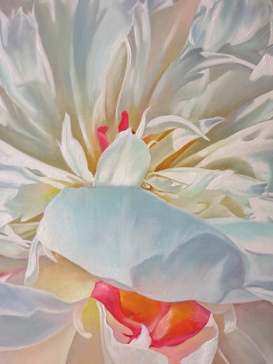 "Delicate petals. "   peonies flower 2021