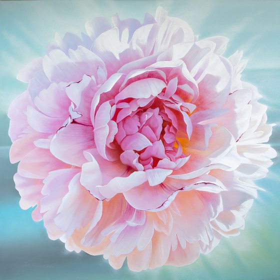Spring peony