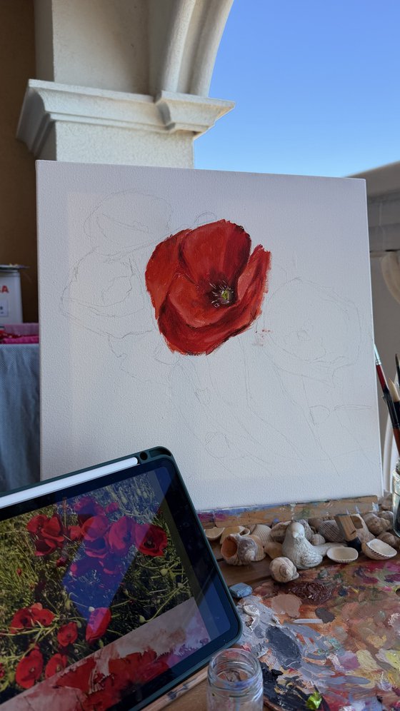 Dance of Poppies