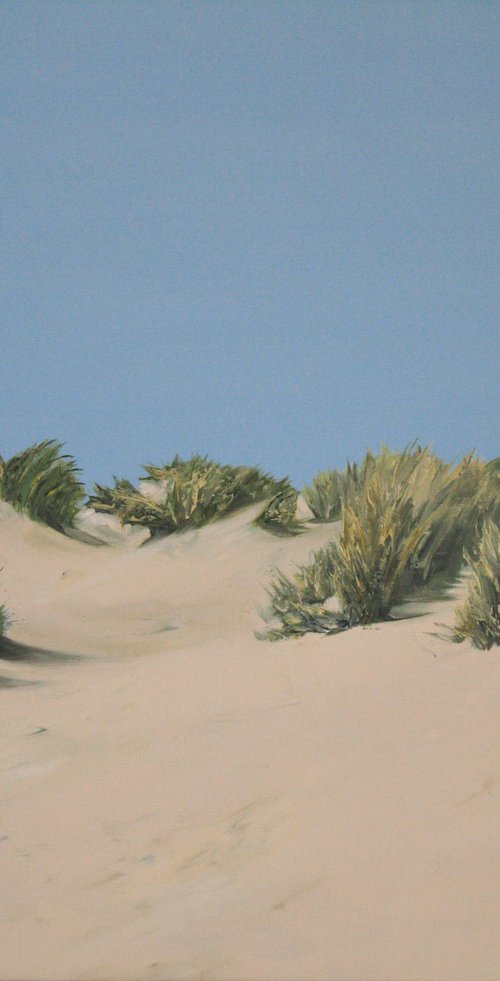 Dunes in Summer by Linda Monk