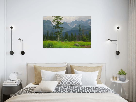 Summer in the mountains