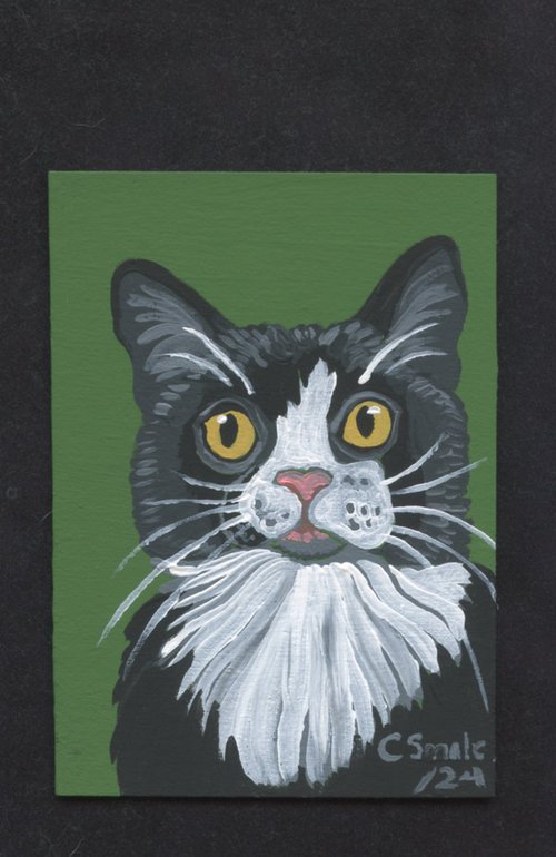 Tuxedo Cat by Carla Smale