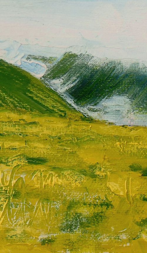 Grass and Mountains - Kentmere by Ben McLeod