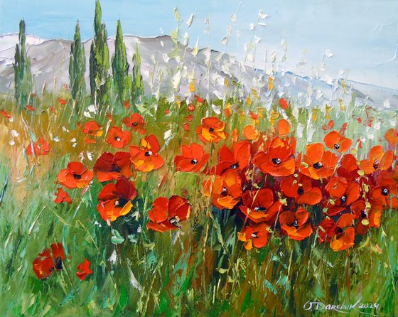 Field of poppies near the mountains