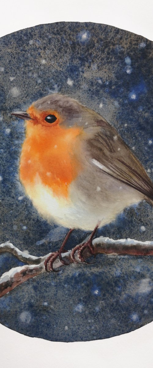 Original Watercolour Robin Bir by Olga Beliaeva Watercolour