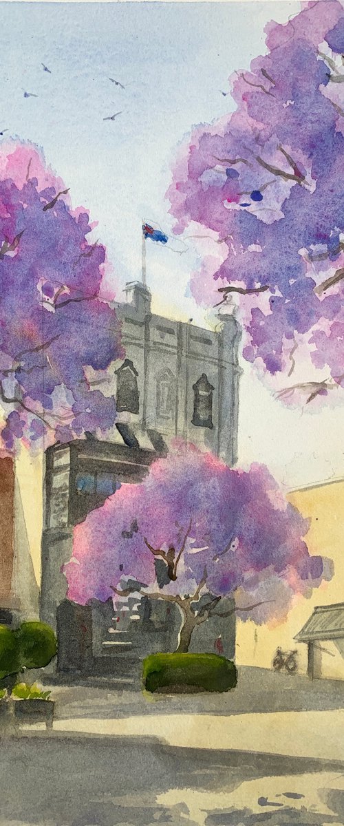 Paddington in Jacaranda season by Shelly Du