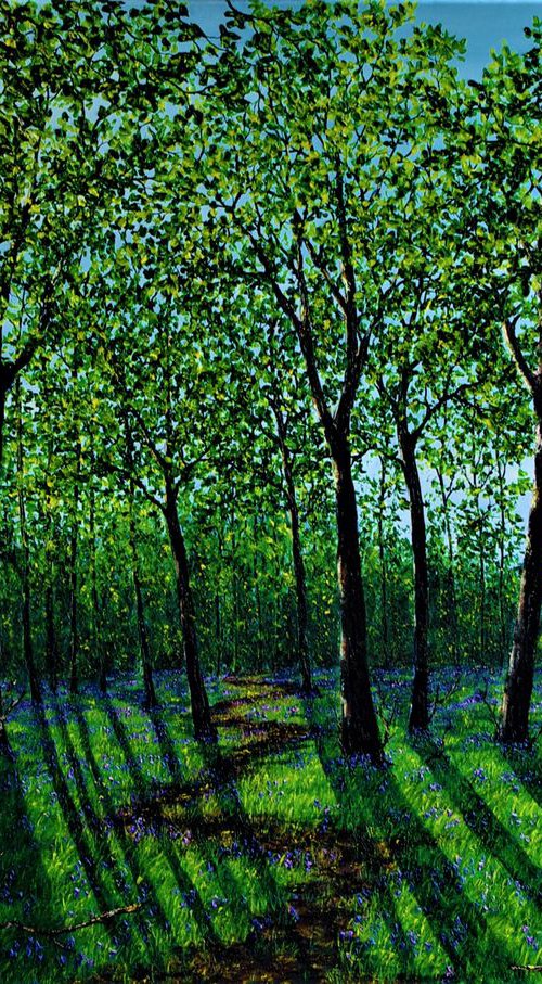 Spring In The Forest by Hazel Thomson