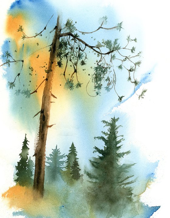 Coniferous forest landscape sketch