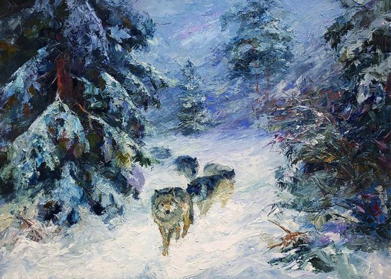 Wolf Pack In The Winter Forest