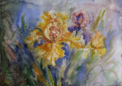 Yellow irises by Liubov Ponomarova