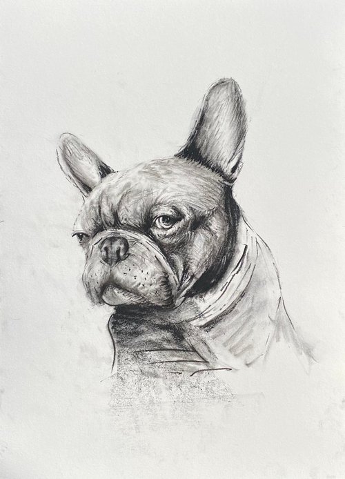 Gangsta Frenchie… by Paul Mitchell