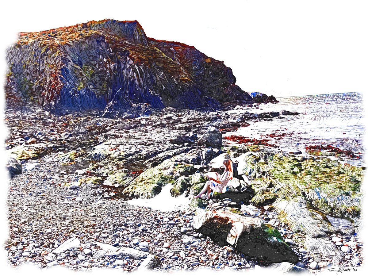 walking-the-welsh-coastal-path-2-digital-art-gicl-e-by-tony-roberts