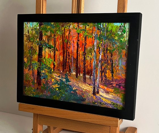 Autumn in the Forest